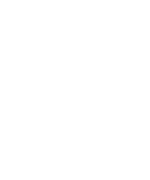 Q&A